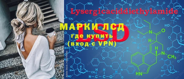 хмурый Зеленокумск