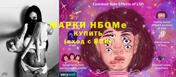 хмурый Зеленокумск