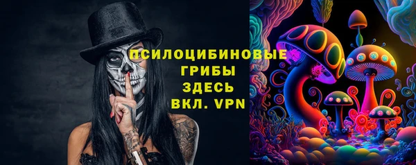 хмурый Зеленокумск