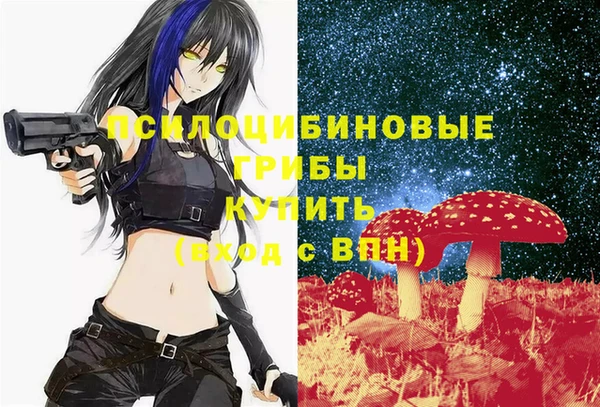 трава Зерноград