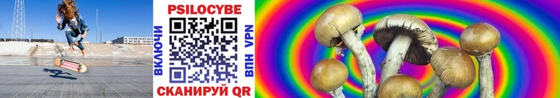 Купить где  Малмыж  Галлюциногенные грибы Magic Shrooms 